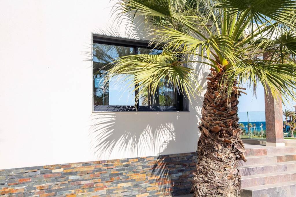 Villa La Zenia Οριουέλα Εξωτερικό φωτογραφία